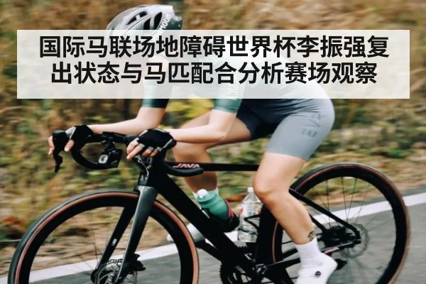 国际马联场地障碍世界杯李振强复出状态与马匹配合分析赛场观察 | kaiyun